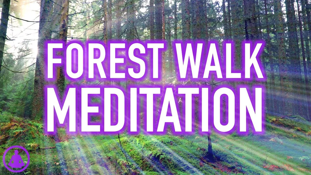 Calming forest meditation scene